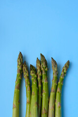Minimalistic photo of asparagus on a blue background.