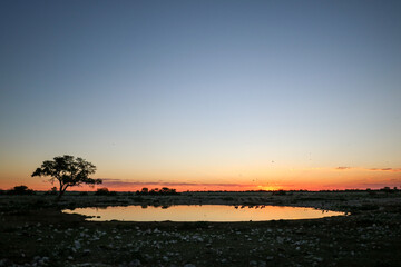 Okaukuejo waterhole at Sunset, Etosha National Park, Namibia