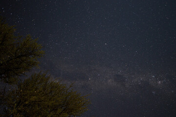 Fototapeta premium Starry sky and Milky Way in the Kgalagadi Transfrontier Park, Kalahari, South Africa