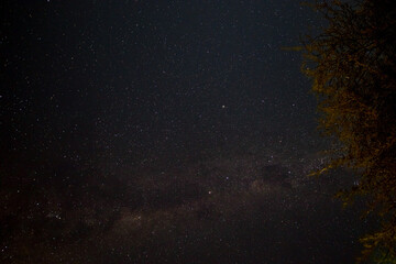 Starry sky and Milky Way in the Kgalagadi Transfrontier Park, Kalahari, South Africa