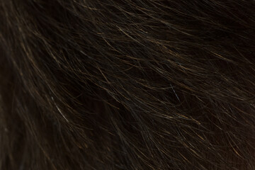 closeup shot of caucasian man with thinning hair problem side shot