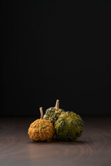 decorative pumpkins on walnut wood table with copy space