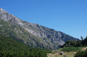 A mountain peak brightly lit by the summer sun at the foot of which trees grow.
