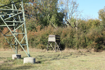 Dear Stand near Transmission Tower in the Forest of Leipzig, Germany
