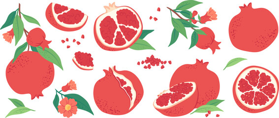 Fresh juicy pomegranates, ripe delicious garnet fruit slices and halves, pomegranate seeds. Healthy antioxidant rich food, hand drawn pomegranate tree branch with leaves and red flowers vector set