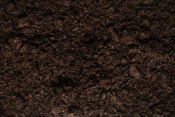 Fototapeta premium Black land for plant background.