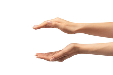 Fototapeta premium Woman hand isolated on a white background.