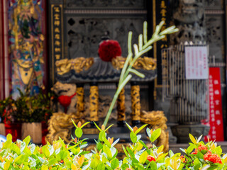 青々とした草と中国式寺院