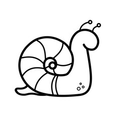  snail  -vector icon