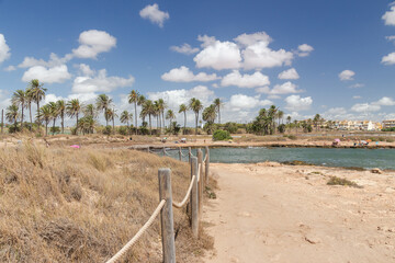 Fototapeta premium Vega Baja del Segura - Cala Ferris el palmeral de Torrevieja