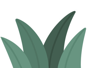 green leaves isolated on white background