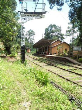 railroad tracks in the woods