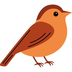 Sparrow Bird Illustration