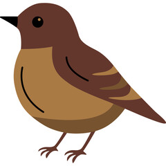 Sparrow Bird Illustration
