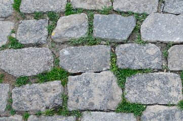 Close-up of a cobblestone path with grass growing between the stones.