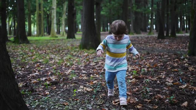 a lonely lost child in the forest, the problem of searching for missing children