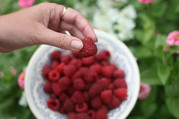 handful of raspberries