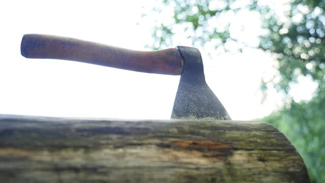 A man picks up an ax from a log in the forest. Close-up view. The concept of crime, industry.