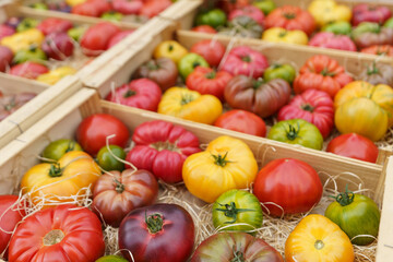 Colorful various tomatoes, arranged in wooden boxes.