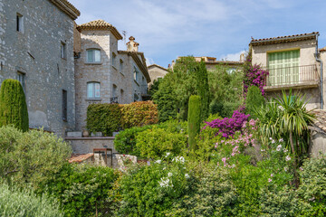 Beautiful, green and very dense plants, decorating the gardens between the old buildings.