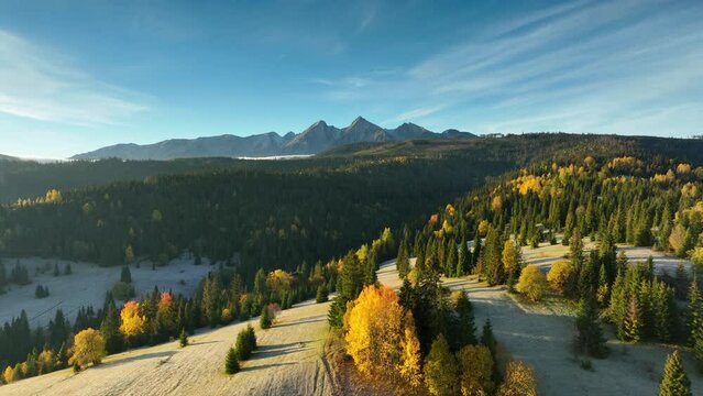 panorama of the autumn mountains - aerial view	