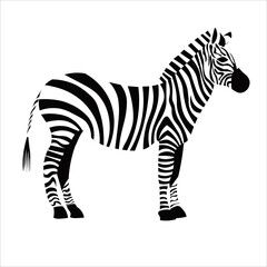 Zebra silhouette isolated on white background. Black and white vector illustration.
