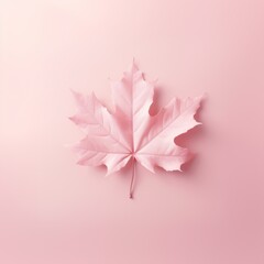 Pink autumn maple leaf against pale pastel pink background. Minimal monochromatic surreal modern concept.