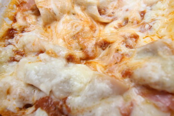 disassembled lasagna ready to eat. lasagna with selective focus. food for lunch or dinner.