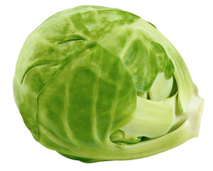 Fototapeta premium Brussel sprout isolated on white background, full depth of field