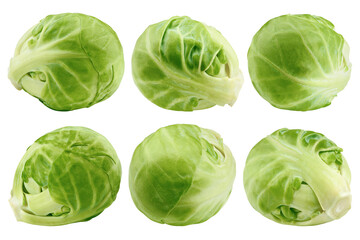 Brussel sprout isolated on white background, full depth of field