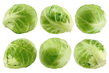 Tafelkleed Brussel sprout isolated on white background, full depth of field © grey