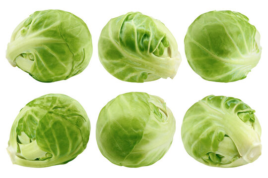 Brussel Sprout Isolated On White Background, Full Depth Of Field