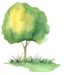 hand-drawn watercolor sketch for landscape design, tree grass bushes, plants, elements for garden decoration,