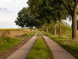 Agricultural road with concrete plates in a rural landscape in Germany. A field is on the left side and trees are on the right side.