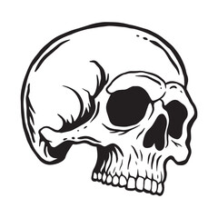 Skull hand drawn illustrations for the design of clothes, stickers, tattoo etc