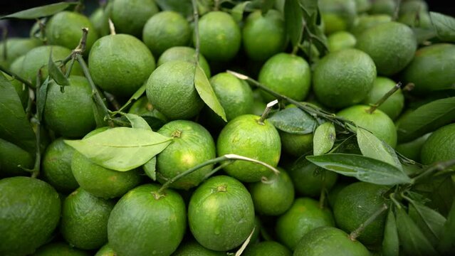 Fresh sweet lemons in market. Organic mosambi fruit