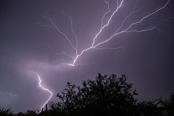 Lightning crawls across the sky overhead