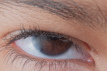 Ojo humano