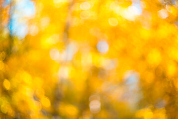 Golden blurred natural autumn background