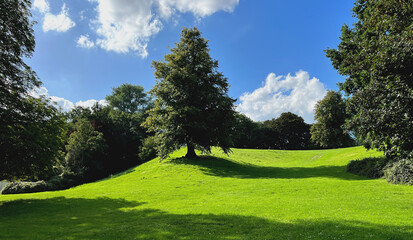 öffentlicher Park Krusenkoppel in Kiel 
