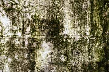 Fototapeta premium mildewed wall background
