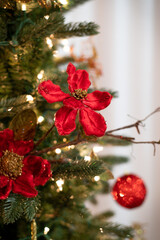 Poinsettia in Christmas Tree