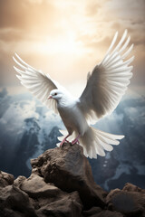 Obraz premium Global peace concept, a white dove holding an olive branch, with planet earth