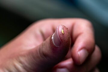 a persons left nail is dirty and missing some gold dust