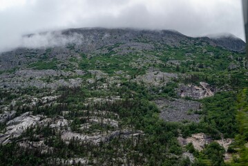 Fototapeta premium the top of a mountain with trees in front of it