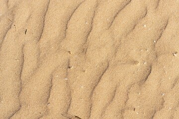 Close-up of a golden sand near the beach on a sunny day