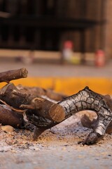 a wood burning with sticks and gravel in front of a street