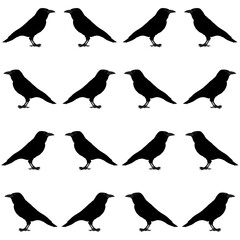 Obraz premium Raven seamless pattern with transparent background. Gothic pattern for Halloween