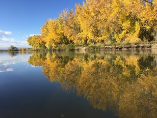 Fototapeta premium Tranquil lake illuminated by the golden hues of the yellow trees on a sun-filled day