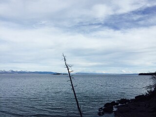 Scenic view of alpine mountains and a tranquil lake with a single tree in the foreground